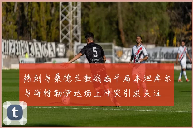 热刺与桑德兰激战成平局本坦库尔与海特勒伊达场上冲突引发关注